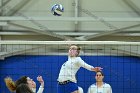 VB vs Plymouth St  Wheaton Women’s Volleyball vs Plymouth St. - Photo by Keith Nordstrom